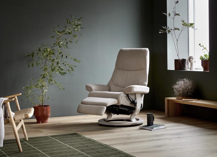 Relax View Stressless 